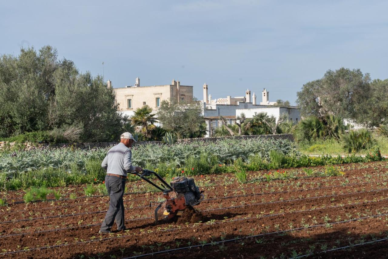 Masseria Palombara Relais & Spa - Adults Only Мандурия Екстериор снимка